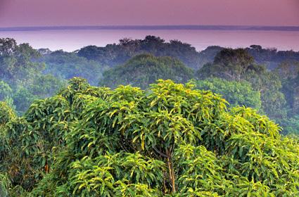 地球原始魅域 世界最美的十大热带雨林